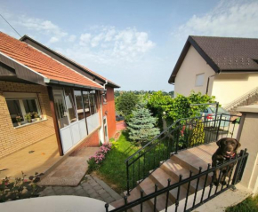 A family house at the outskirts of Fruska Gora, Novi Sad!